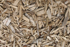 biomass boilers Griomsidar