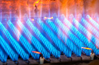Griomsidar gas fired boilers